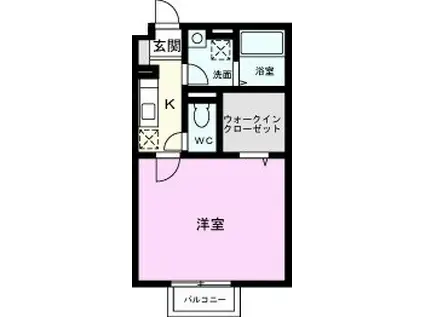 メゾン・クオレ(1K/1階)の間取り写真