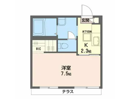 コンフォーレ石川(1K/1階)の間取り写真