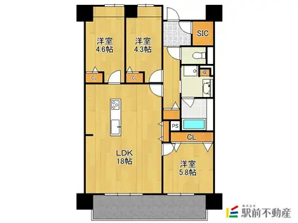 プライムメゾン照葉クロススタイル(3LDK/8階)の間取り写真