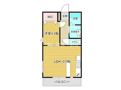 コーポ青葉台(1LDK/1階)の間取り写真