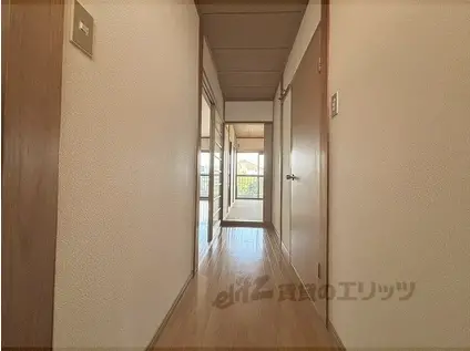 クラウンコート(1LDK/1階)の外観写真