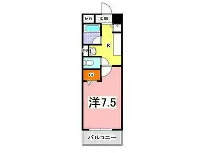 ラフィネ錦が丘(1K/1階)の間取り写真