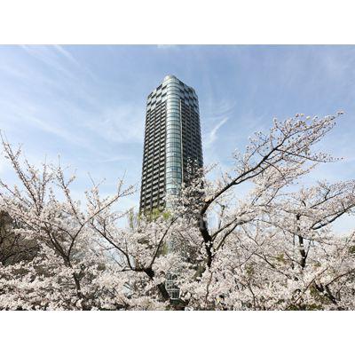 パークコート赤坂檜町ザ タワー(1LDK/19階)