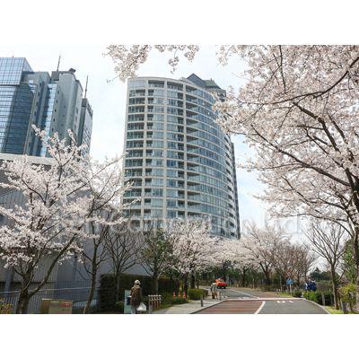 赤坂 ザ レジデンス(1LDK/5階)