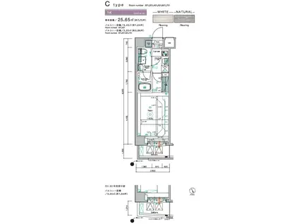 SYNEX KAMEIDO(1K/3階)の間取り写真