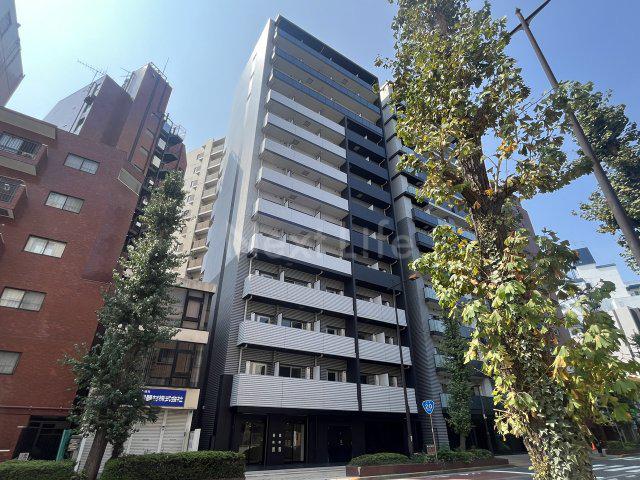 ステージグランデ八王子3(1DK/12階)