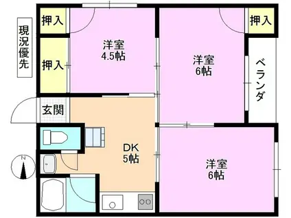 セントラルビル(3DK/3階)の間取り写真