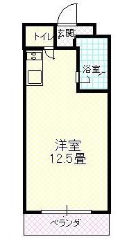 ヴィラ湯川(1K/3階)の間取り写真