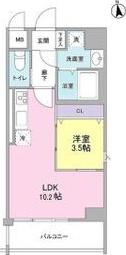 CATTLEYA GARDEN(1LDK/8階)の間取り写真