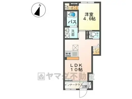 セレーナ(1LDK/1階)の間取り写真