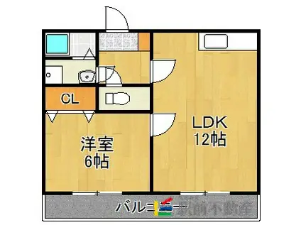 輝ハイツII(1LDK/1階)の間取り写真