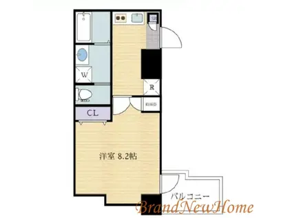 エヌエムキャトフヴァンサンク(1K/8階)の間取り写真