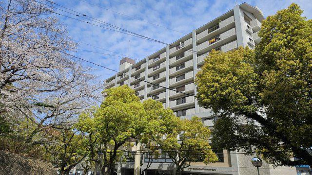 ライオンズ香椎宮参道第2(3LDK/3階)