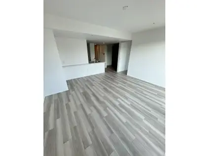 シェリアタワー大阪堀江(2LDK/9階)の居間写真