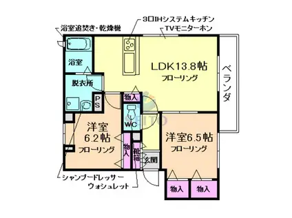 MS SHAMAISON(2LDK/1階)の間取り写真