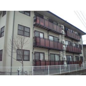 メゾン若宮D棟(3LDK/1階)