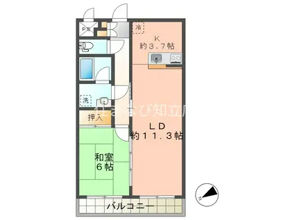 AP-V(1LDK/1階)の間取り写真