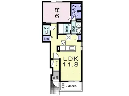 パラシオII(1LDK/1階)の間取り写真