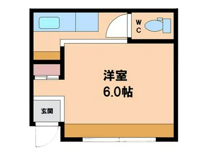 マンション関西(1K/1階)の間取り写真