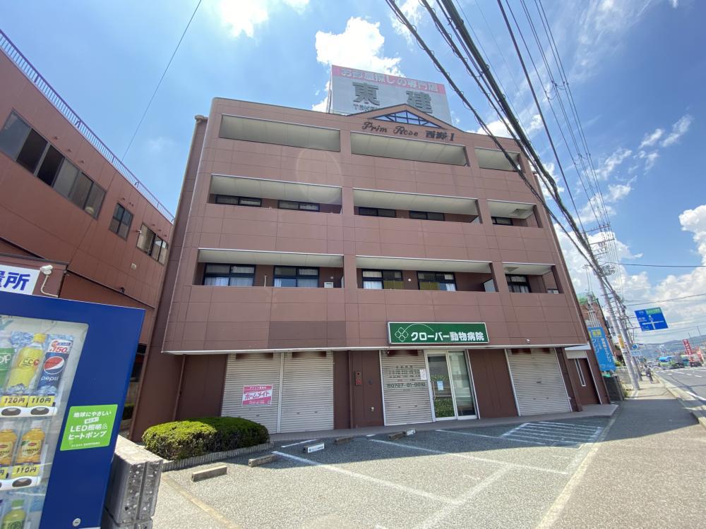プリムローズ西野(2DK/4階)