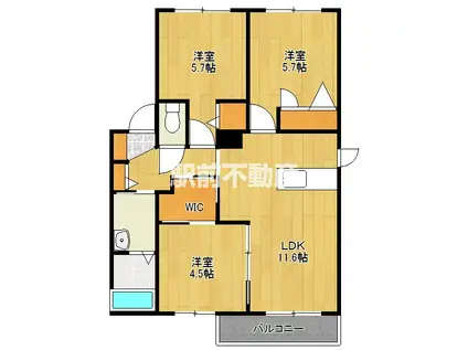 メゾンエスポワール III棟(3LDK/2階)の間取り写真
