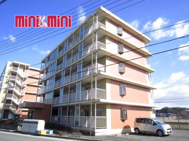 マルベリーハイアットII(2DK/2階)
