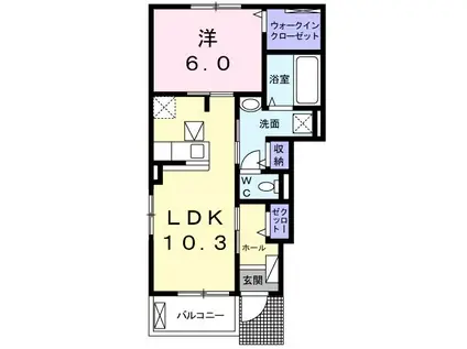 サニーパレスC(1LDK/1階)の間取り写真