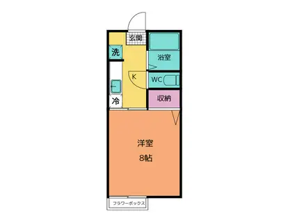 細井ハイツII(1K/1階)の間取り写真