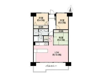 アイランドコート郷東町505(3LDK/5階)の間取り写真