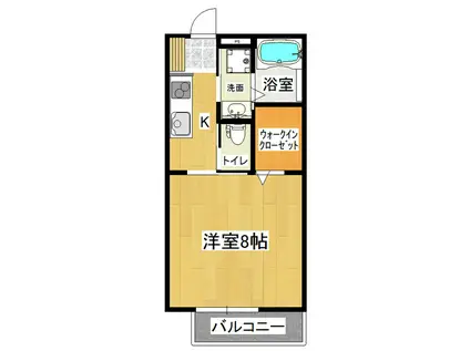 ホワイトコート並木(1K/1階)の間取り写真