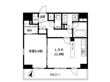 スカイコートルーベンス西早稲田(1LDK/11階)の間取り写真