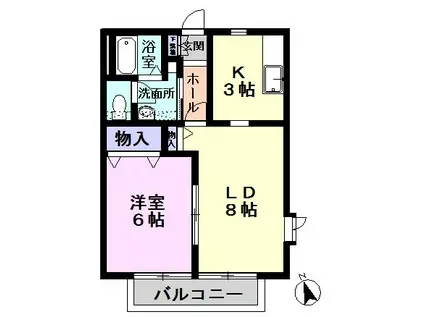 グランシードC棟(1LDK/1階)の間取り写真