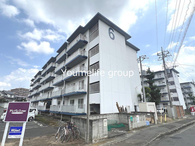 テレパレス伊勢原6号棟(3LDK/1階)