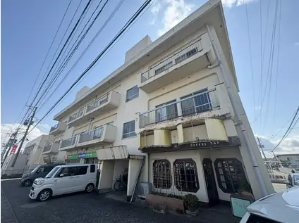 ニューハイツ藤(3DK/2階)の外観写真