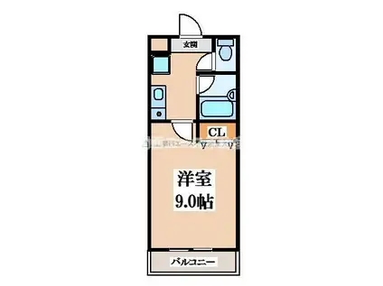 カトレアハイツ(1K/2階)の間取り写真