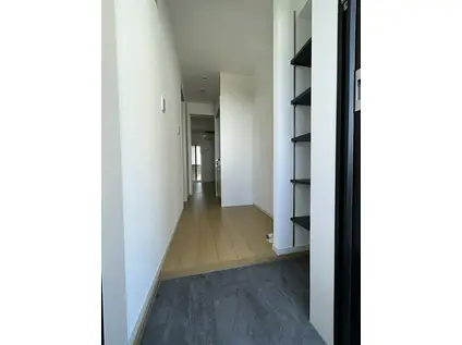 MELLAS新秋津(1K/3階)の玄関写真