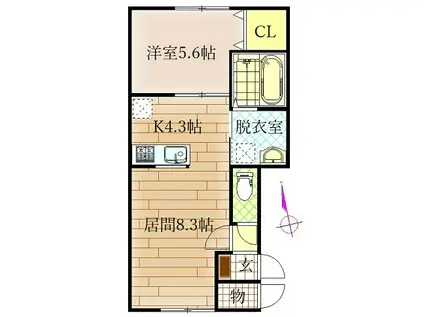 ATER(1LDK/1階)の間取り写真