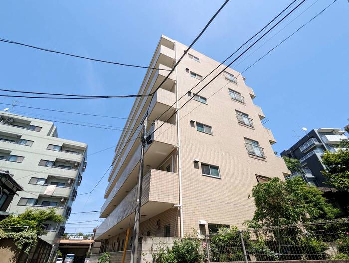 DRホームズ田無(2DK/4階)