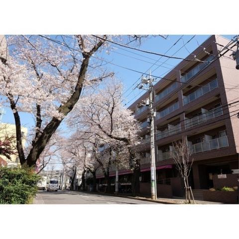 コンフォリアたまプラーザ(2LDK/3階)