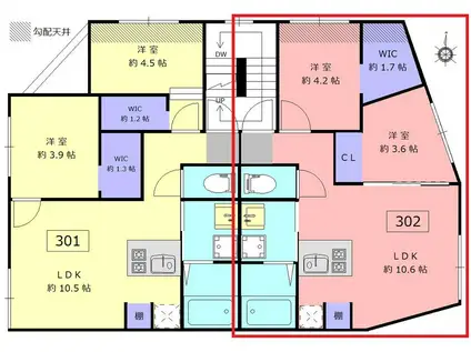 ロータス中野新橋(2LDK/2階)の間取り写真