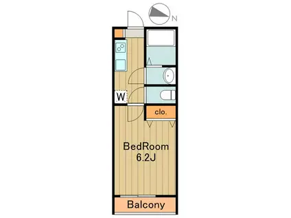 ラスターヒルズ(1K/1階)の間取り写真