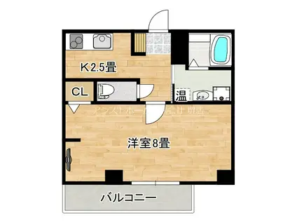 エヌエムスワサントオンズノース(1K/1階)の間取り写真