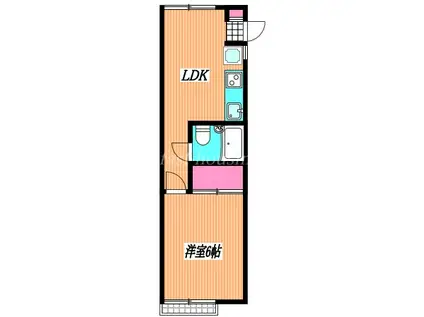 小桜ハイム(1LDK/1階)の間取り写真