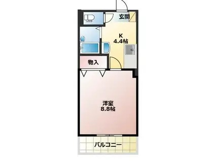 マダレンホール(1K/1階)の間取り写真