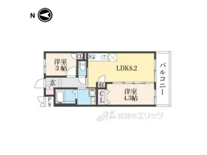 アルファクラージュくずは3(2DK/2階)の間取り写真