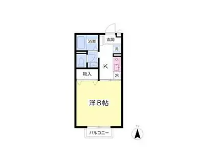 アルカディア(1K/1階)の間取り写真