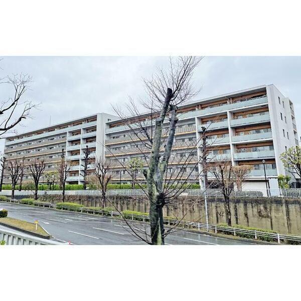 エクシオ守谷御所ケ丘(3LDK/3階)