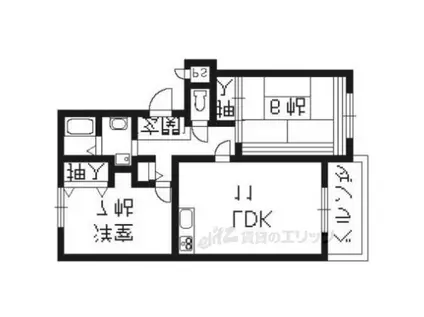 プルミエール桂2(2LDK/3階)の間取り写真