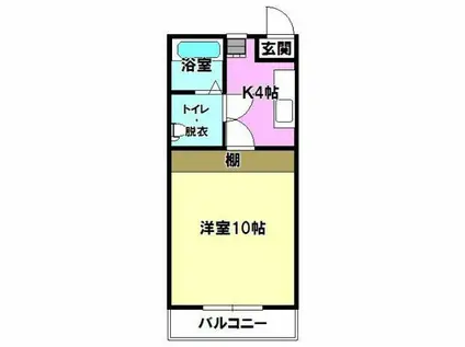 フラットエスB(1K/1階)の間取り写真