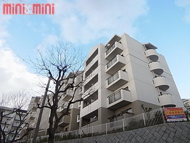 シティハイツ狩口(3LDK/5階)